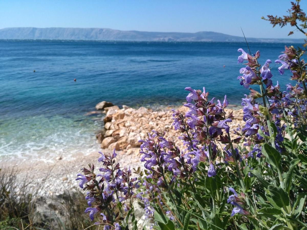 Loft-Beach-Apartments Ratko Novi Vinodolski Eksteriør bilde